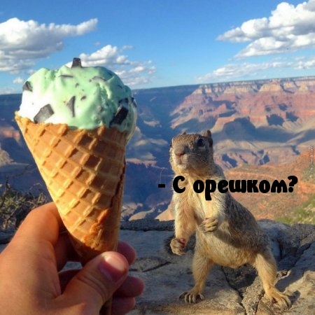 С орешком?