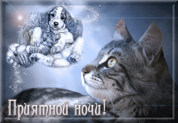 Приятной ночи  — скачать