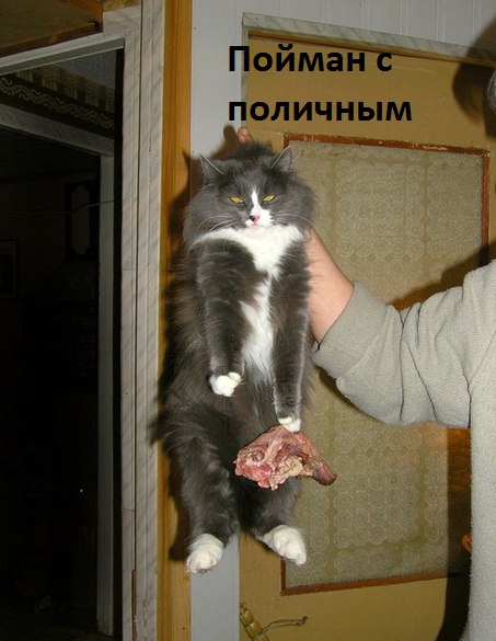 Пойман с поличным