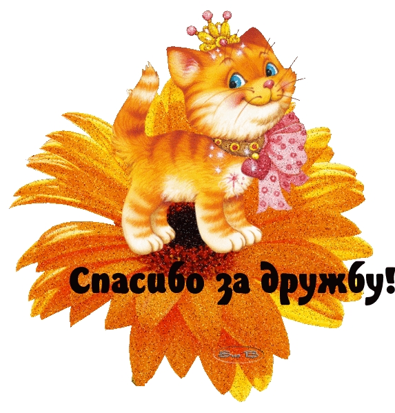 Спасибо за дружбу!