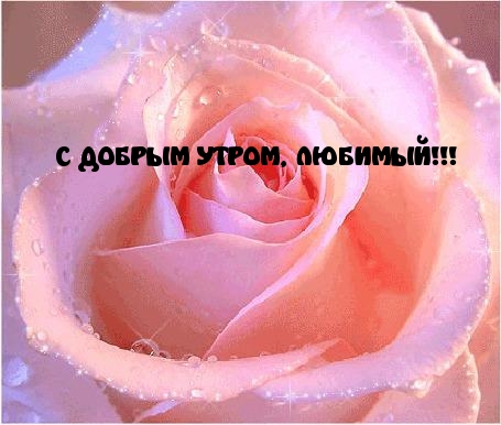 Картинки с надписями.  С ДОБРЫМ УТРОМ, ЛЮБИМЫЙ!.