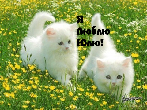 Я Люблю Юлю!