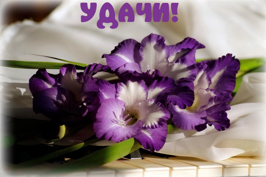 УДАЧИ!