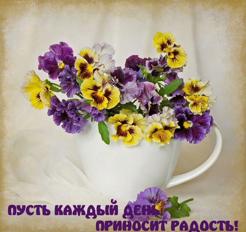 ПУСТЬ КАЖДЫЙ ДЕНЬ  ПРИНОСИТ РАДОСТЬ!