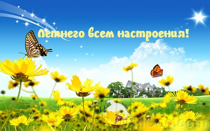 Летнего всем настроения!