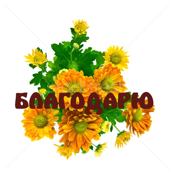 БЛАГОДАРЮ