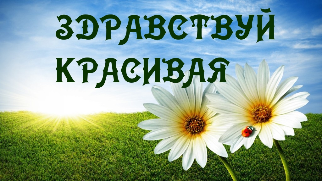 ЗДРАВСТВУЙ  КРАСИВАЯ