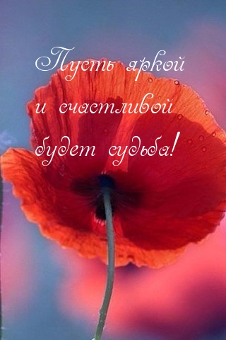 Счастья и яркой жизни!