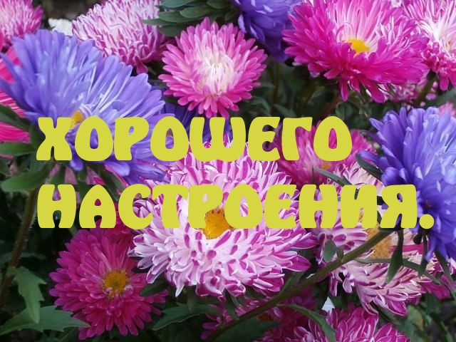 ХОРОШЕГО НАСТРОЕНИЯ.