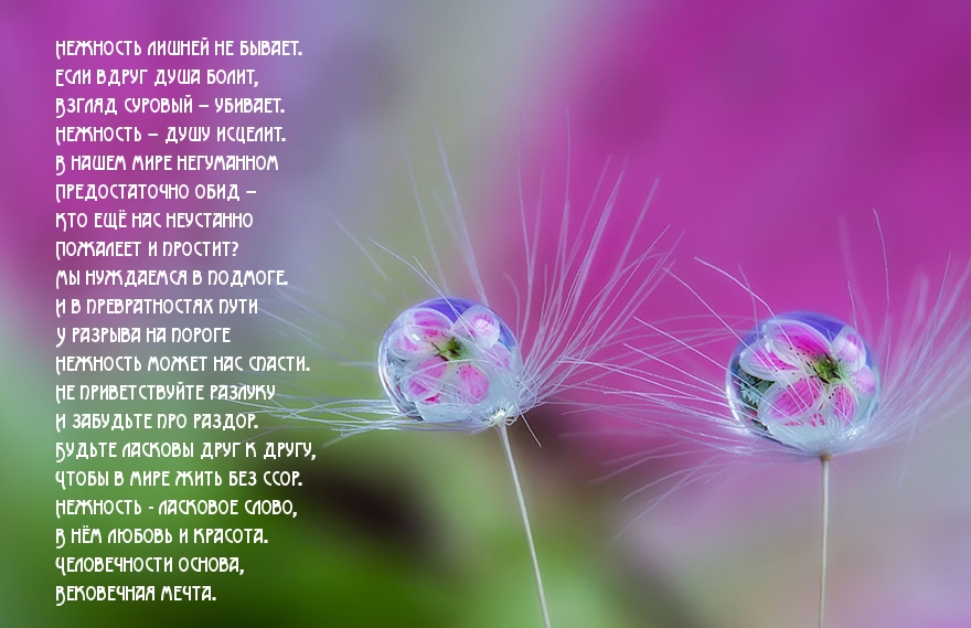 Нежность лишней не бывает