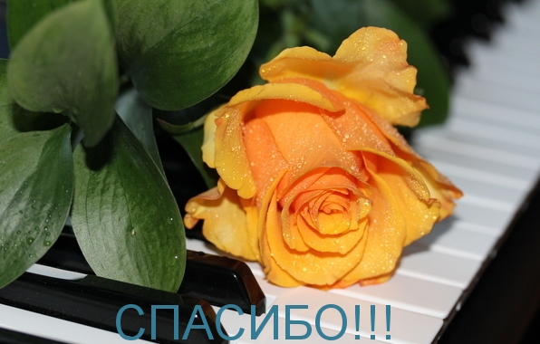 СПАСИБО!