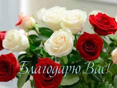 Благодарю Вас!