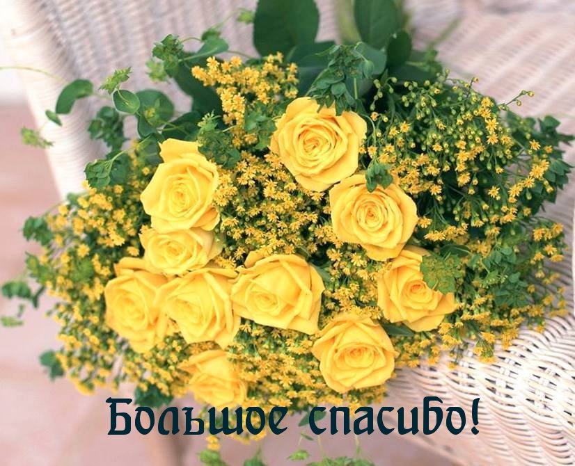 Большое спасибо!