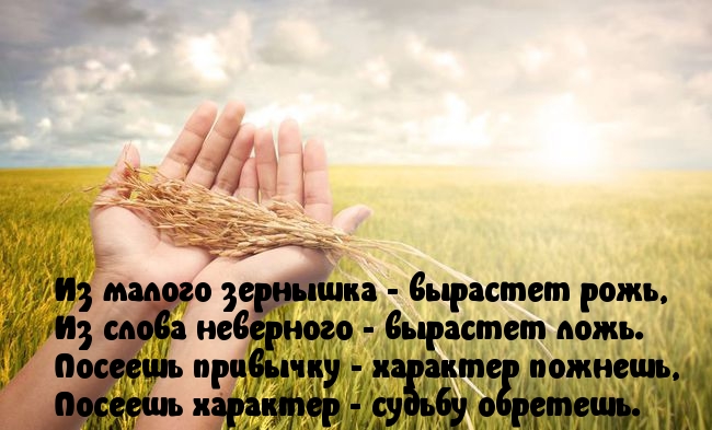 Посеешь характер — судьбу обретешь