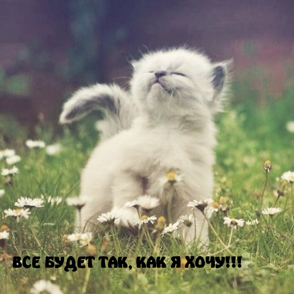 ВСЕ БУДЕТ ТАК, КАК Я ХОЧУ!
