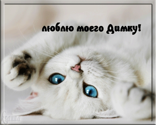 Люблю Диму