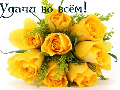 Удачи во всём!