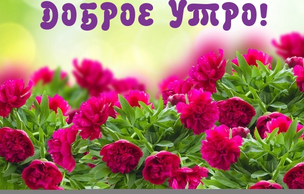 Картинки с надписями.  ДОБРОЕ УТРО!.