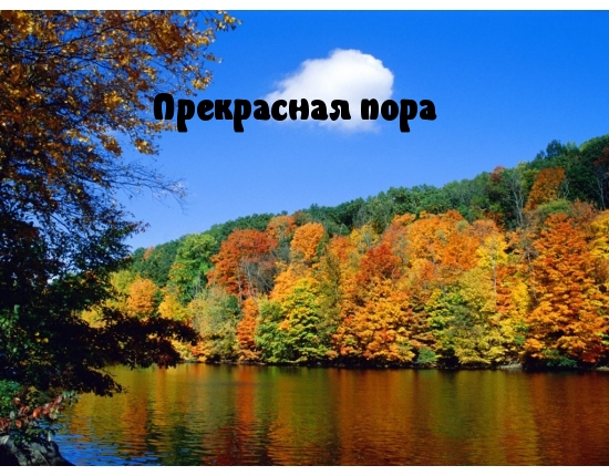 Прекрасная пора