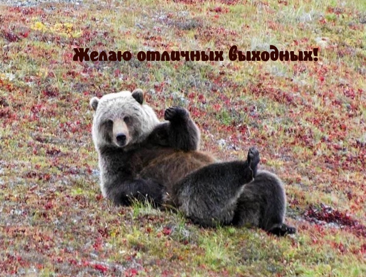 Желаю отличных выходных!