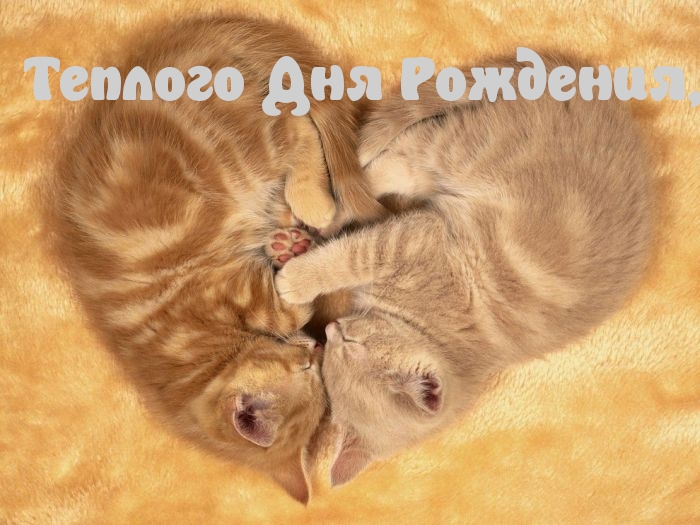 Теплого Дня Рождения