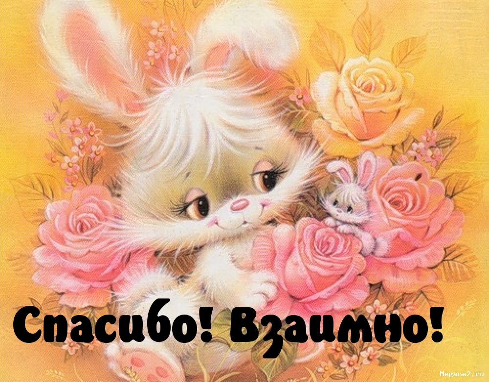 Спасибо! Взаимно!