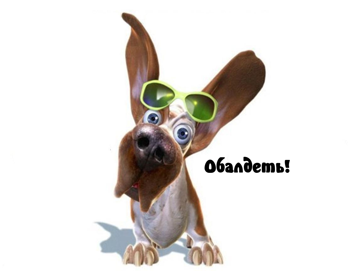 Обалдеть!