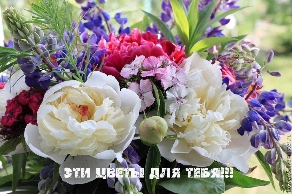 Картинки с надписями.  Цветы тебе.