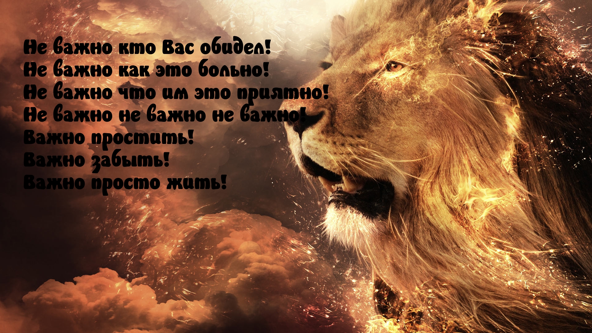 Забудь обиду и живи