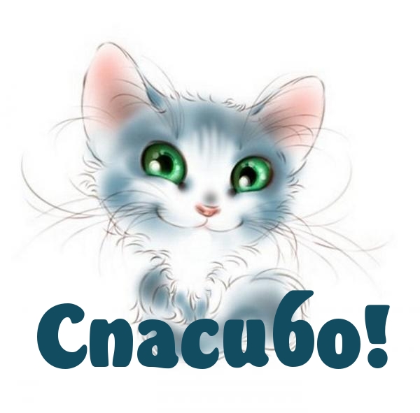 Спасибо!