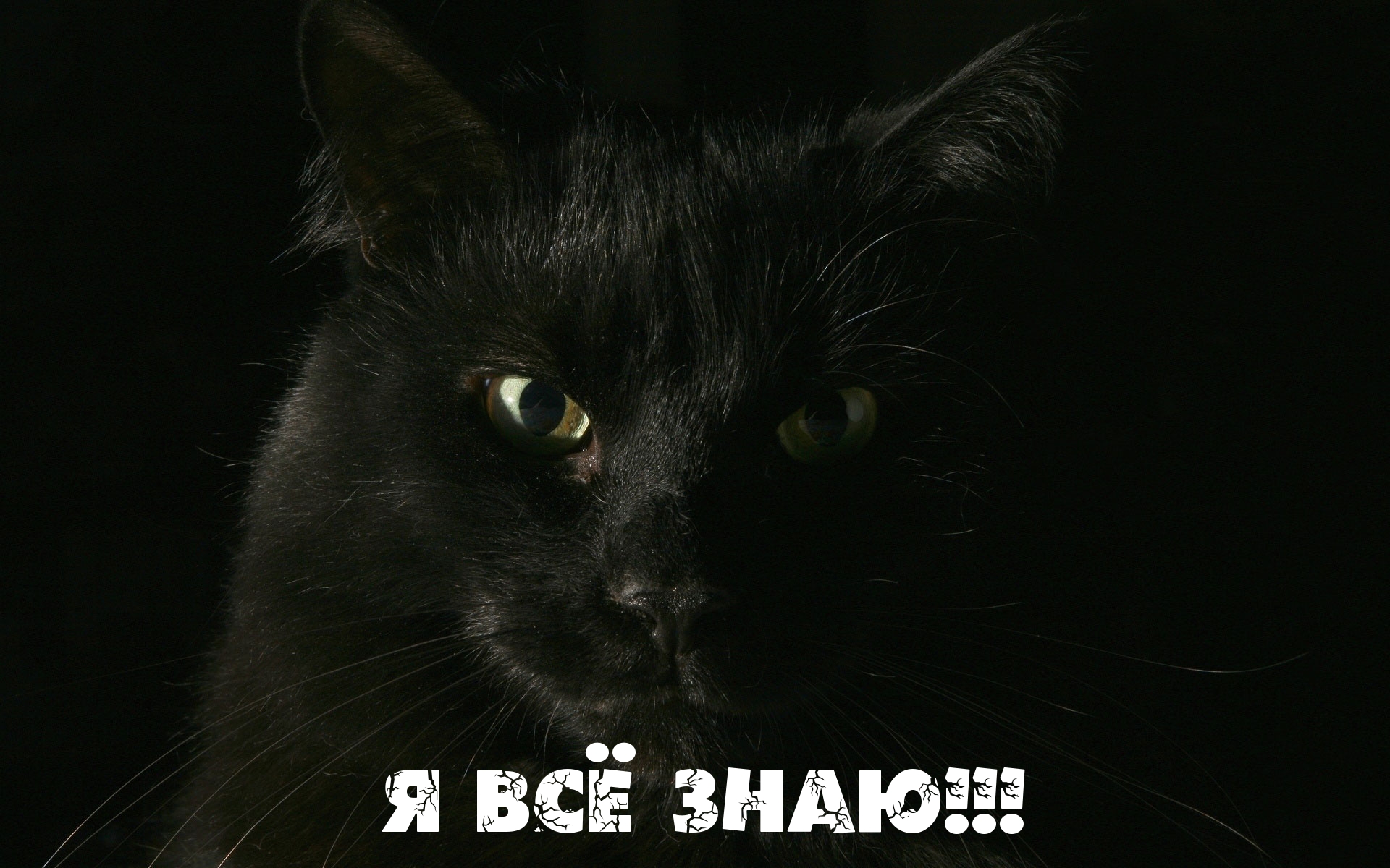 Я Всё Знаю!