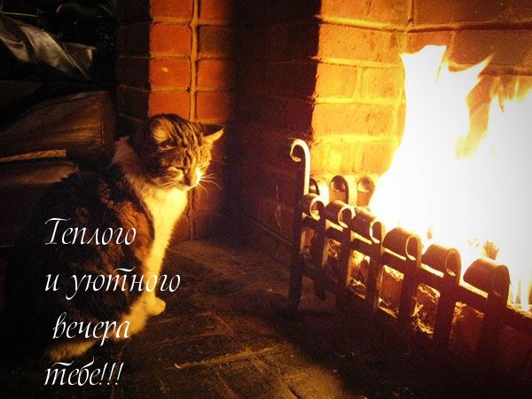 Теплого и уютного вечера