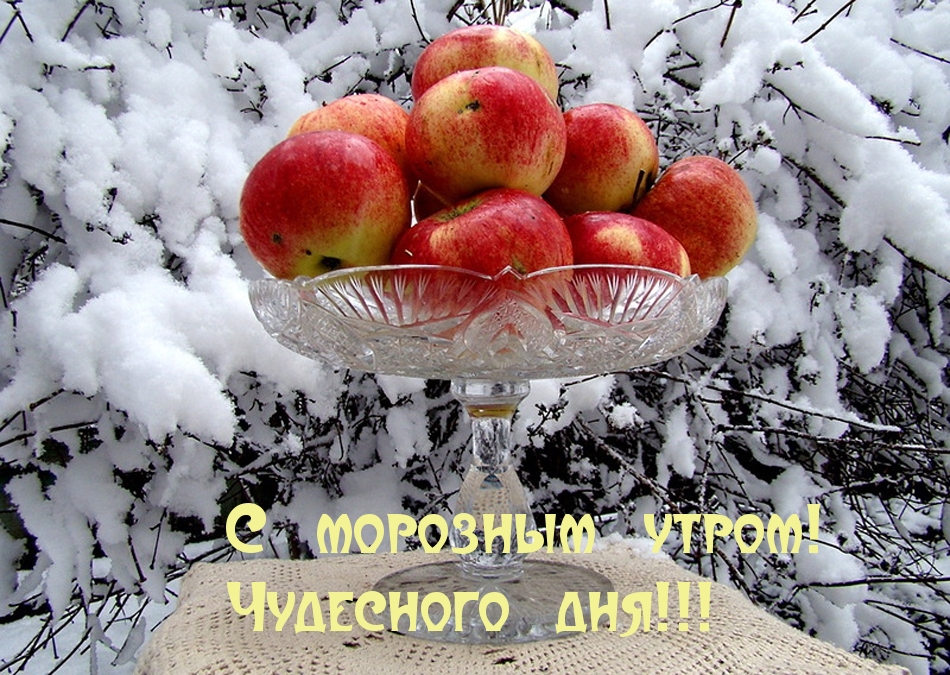 Морозного утречка!