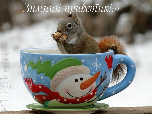 Зимний приветик!