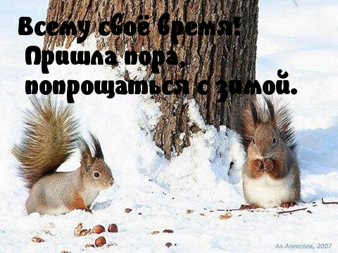 Пришла пора прощаться с зимой.