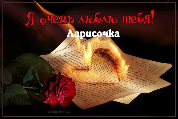 Люблю тебя, Лариса