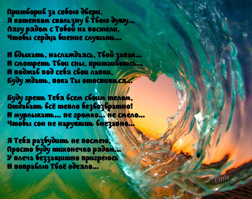 Притворив за собою двери…