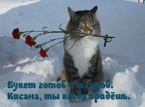 Когда придешь?