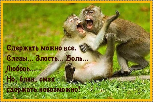 Тяжело сдержать смех