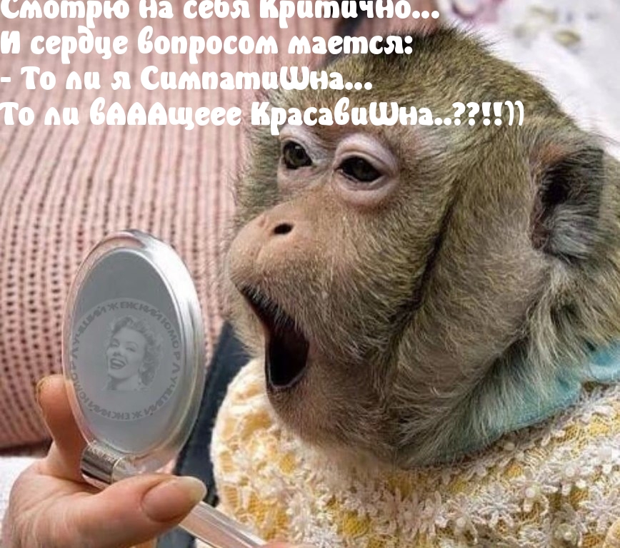 Вопрос века