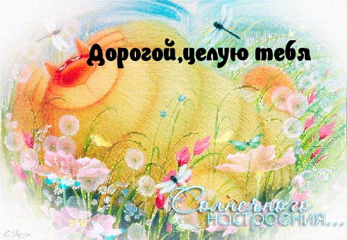 Дорогой, целую тебя