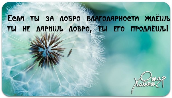 Если ты за добро благодарности ждёшь