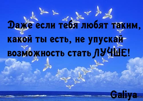 Не упускай возможность стать лучше