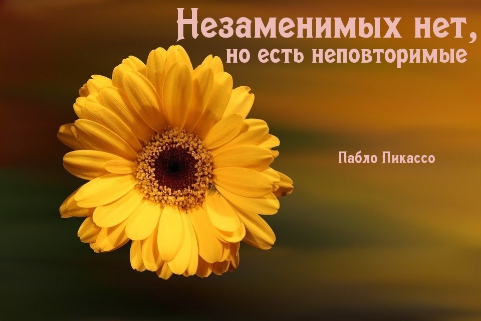 Незаменимых нет, но есть неповторимые