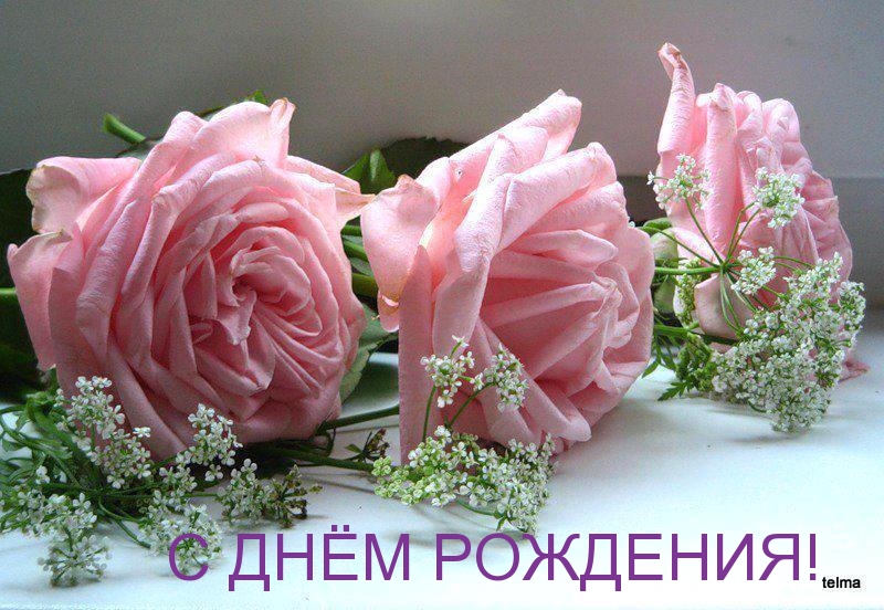 С днем рождения, на фоне 3х алых роз