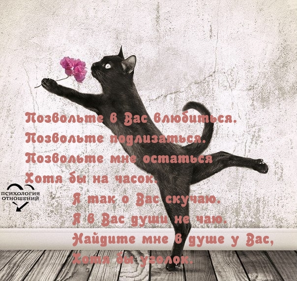 Позвольте в Вас влюбиться
