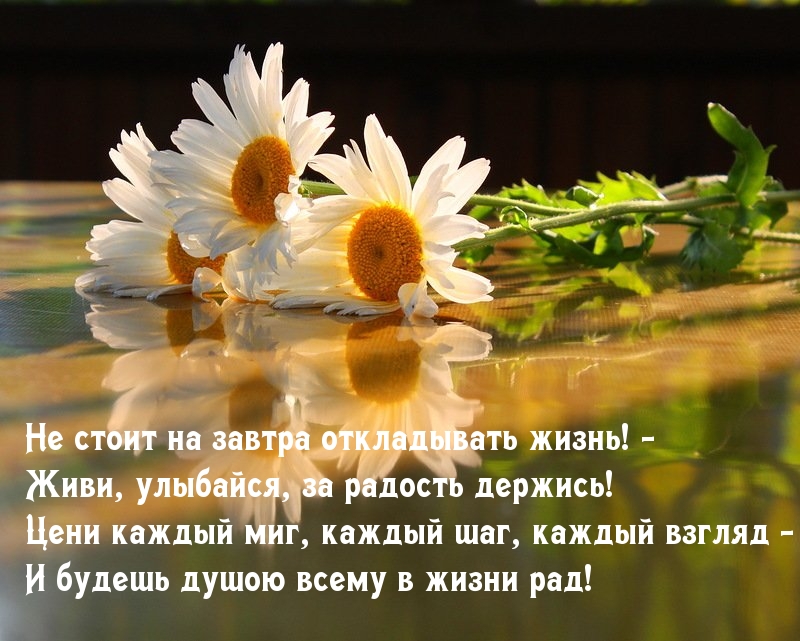 Не стоит на завтра откладывать жизнь!