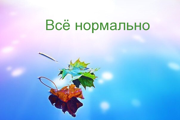 Всё нормально