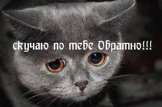 скучаю по тебе Обратно!
