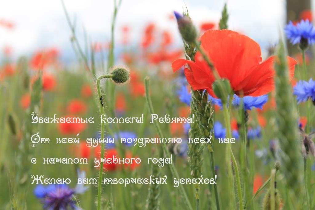 Коллеги, ребята! Поздравляю с началом учебного года!